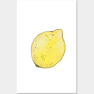 Lemon Posters and Art